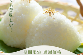 【蔵出し特価】冷めても旨い！おにぎり・お弁当専用「熟成はえぬき」10kg（5kg×2）山形県産