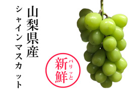 【予約販売】パリッと新鮮☆山梨県産シャインマスカット《中箱》約1.0kg
