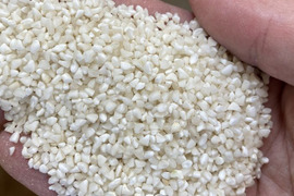 【訳あり米】 20kg 砕米 (小米 鳥の餌 くず米 訳あり ふるい下 うるち米) ※ノークレーム・ノーリターンでお願いします
