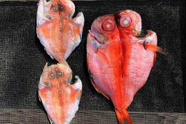 金目鯛とのどぐろ★高級魚干物セット★ギフト