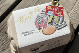 【冬ギフト】国産飼料の放牧有精卵『君は太陽』24個入り