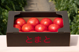 【北海道産】🍅樹上熟3段採り🍅桃太郎トマト2kg箱〈正品〉