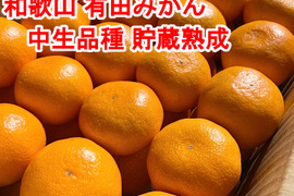 【秀品・Ｓサイズ】和歌山有田産！中生みかん≪5㎏≫