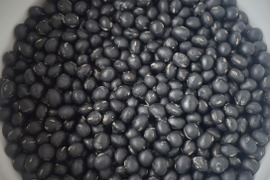 きてらのくろくろ黒大豆-500g-A品-農薬不使用