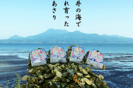 【20年振りに育ちました】小長井産 花あさり２ｋｇ