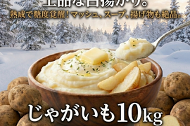 《激推し！フライドポテトやポテサラに！》愛され食され40年『雪夏稚くん』の熟成ヘルシーポテトver. 10kg