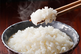 新潟県産　コシヒカリ  5kg  無洗米  令和5年産　(200)