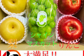 【旬のフルーツセット】りんご 梨 シャインマスカット 大満足 秋の味覚 フルーツ 果物 ゴルフコンペ プレゼント 誕生日