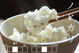 新米予約【R７年産】至高の特別栽培米ヒノヒカリ白米５ｋｇ【化学肥料不使用・農薬8割以上減】