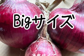 赤玉ねぎBIGなサイズ‼️吊るして保存できるようにお届け‼️赤玉ねぎ5キロ入‼️