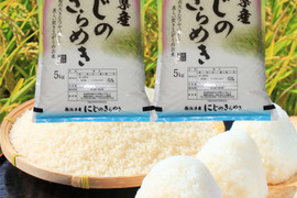 新米　令和7年産　お米　米　新潟県産　にじのきらめき　白米　10キロ　10kg　(nijinokirameki-10kg-h)