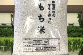 学生と作った日本農業実践学園のもち米　マンゲツモチ10kg（精米）令和5年産新米