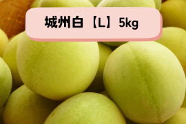 ＊予約販売【青梅】京都青谷産「城州白」(5kg, L)　香りの良さが光る青梅
