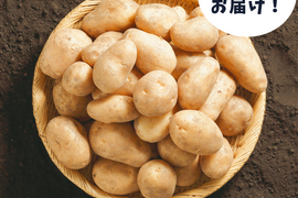 【新じゃが箱込2ｋｇ】じゃがバター最強★掘りたてメークイン（本州の方限定）