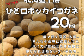 〜便利なチビじゃが！〜一流の味を兼ね備えた『雪夏稚くん』の一口ホッカイコガネ２０kg（直径３〜６cm）
