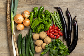 旬の野菜セット約8～10種類（農薬化学肥料不使用）