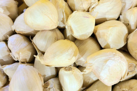 濃厚で甘い！大粒福地ホワイト六片にんにく 1kg（農薬・化学肥料不使用／バラ）