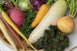 ”ノウフク“　カラフル野菜セット　８～９種
【栽培期間中　農薬化学肥料不使用】