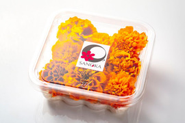美食の演出！エディブルフラワー『SANOKA』マリーゴールド MIX8輪入り 食用花 ケーキ スイーツ 肉料理　魚料理デコレーションにも！