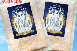 【特A受賞米】はえぬき3合×2袋　さっぱり食感！令和5年山形県庄内産　白米