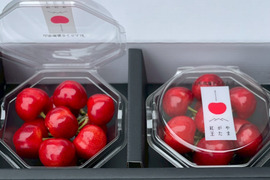 【予約2025年6月下旬〜】やまがた紅王🍒さくらんぼ新品種！特秀ダイヤ💎パック２個(100g×2)3Lイズ