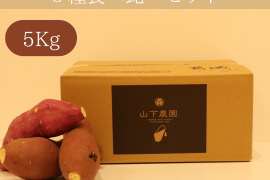 【食べ比べ】人気3種類の食べ比べセット!! 紅はるか・シルクスイート・紅まさり!!5.0kg