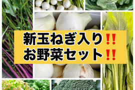 暑くなって来たのでクール便‼️新玉ねぎ入り‼️新鮮お野菜セット✨