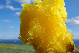 【家庭用】紅はるか｜しっとり甘い島育ちの熟成さつまいも 五島産 3kg