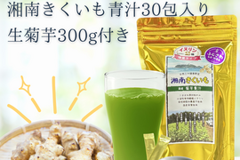 【11月限定‼︎】生菊芋300g付き！湘南きくいも青汁30包セット