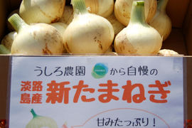 地元でも美味しいと好評！淡路島の新たまねぎ　5ｋｇ