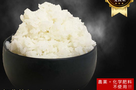 【１等獲得!!農薬・化学肥料不使用】もっちりつやつや特別栽培米佐賀県産さがびより5kg【夏ギフト】R3年産