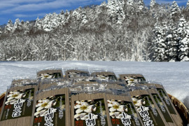 【グルテンフリー】有機畑で育てたそばを原料とした十割そば石臼挽き　16袋セット（ご家庭用）