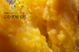 【本場種子島の安納芋】40日間寝かせた「あまくてしっとり」安納芋(5キロ）※沖縄、北海道にお届けの方