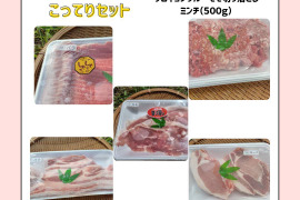 【冬ギフト】放牧飼育と地元の美味しいもので育てたブタ！4元豚の白豚『みつ』牧場長大好きこってりセット300ｇ×4 500ｇ×1