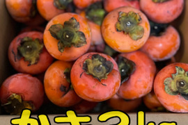 訳ありだけど旬の柿を3kg