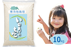 【令和8年 新米予約】特別栽培米 3回日本一品種 いのちの壱 白米 10kg (5kg x2)岡山の雪国産