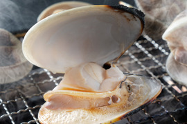 ワイワイみんなで酒蒸し＆BBQにどーぞ♪九十九里産　活けはまぐり３kg(35～55個位)