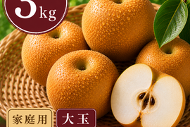 【梨：豊水】家庭用 3kg 大玉(5〜7玉)｜千葉の梨農家から朝採れ直送【予約販売】