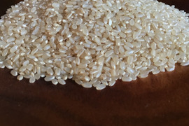 土佐の棚田米　(4.5kg) 
令和6年産玄米