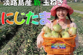農家直送 淡路島産ブランド新玉ねぎ 『にじたま』極早生品種 5kgダンボール入り（ご家庭用・17個前後）使いやすいM・L・2L混在！≪特別栽培≫