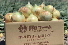 【極甘ジューシー】淡路島 春の新玉ねぎ 5kg箱 約15～20個入