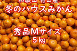 【越冬完熟早生・秀品・Ｍサイズ・5㎏】和歌山有田産！冬のハウスみかん★１月下旬以降の発送