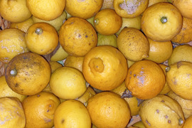 ハネ）香り抜群！自然栽培レモン6kg