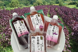 赤紫蘇商品詰め合わせ　①　シロップ/ジュース/寒天ゼリー飲料/ジュレ