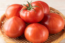 【完熟】あいちの伝統野菜『ファーストトマト』小箱約1kg