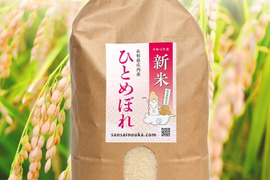 新米【令和7年】ひとめぼれ4.8キロ白米　甘い！うまい！