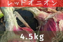 【農薬不使用】レッドオニオン（4.5kg）
