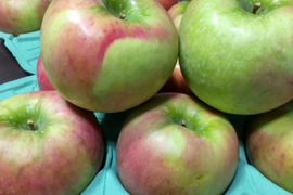 アップルパイにはこのりんご！グラニースミス　約4.5㎏（13～14玉）