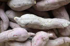【訳あり】紅あずま 5kg ※梱包込
