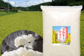 新米ミルキークイーン 精米10㎏（5㎏×2袋）令和5年 広島県神石高原町産 もちもち食感がたまりません！